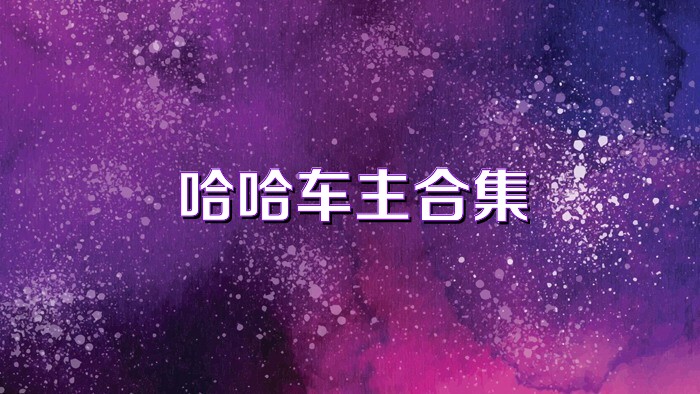 哈哈车主合集