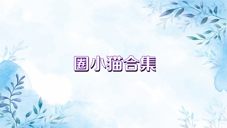 圈小猫合集
