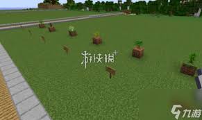 我的世界树苗生长需要哪些条件