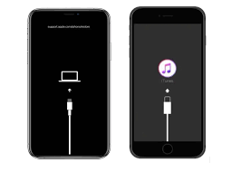 苹果手机显示itunes怎么解决