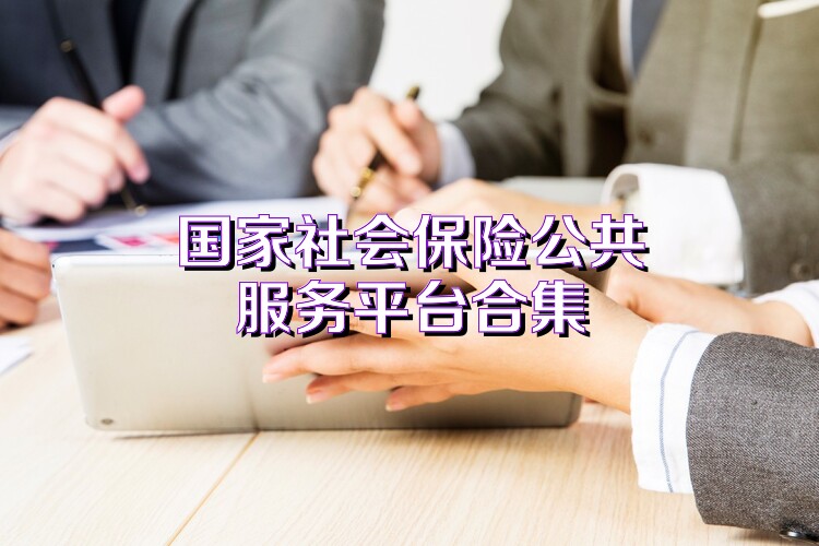 国家社会保险公共服务平台合集