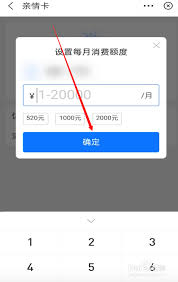 支付宝亲情卡如何调整额度