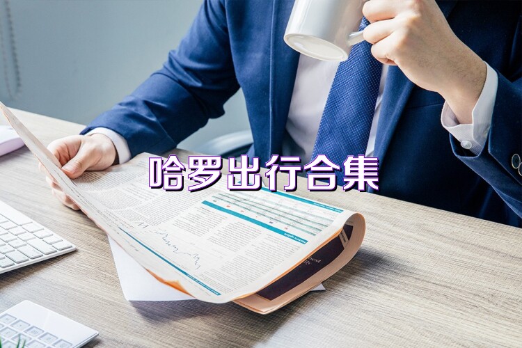 哈罗出行合集