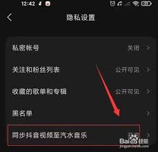 抖音视频同步汽水音乐如何关闭