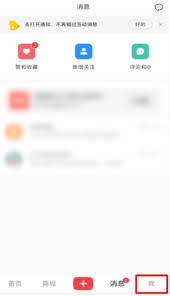 如何查看小红书下单的订单