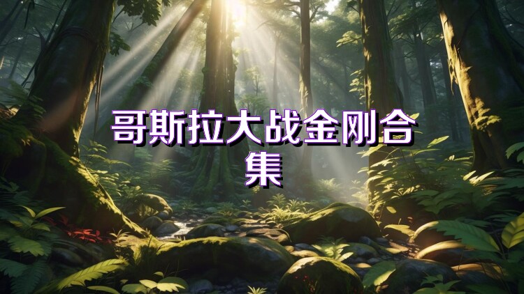 哥斯拉大战金刚合集