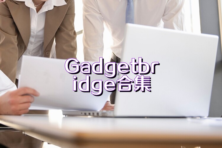 Gadgetbridge合集