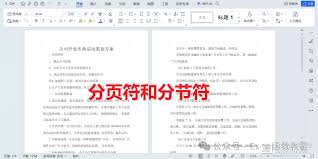 如何删除Word文档中的分页符