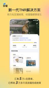 街猫app怎么取消关注的猫屋