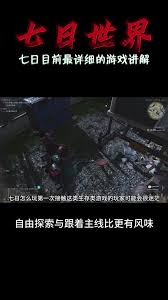 七日世界无价之宝任务怎么完成