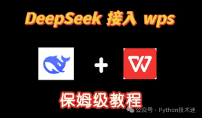接入wps的deepseek详细步骤是什么