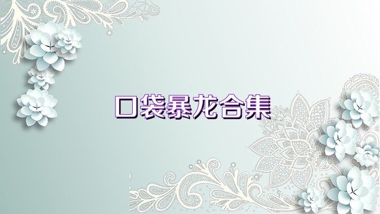 口袋暴龙合集