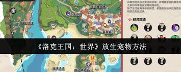 洛克王国世界如何放生宠物