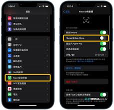 iPhone下载软件怎么使用面容