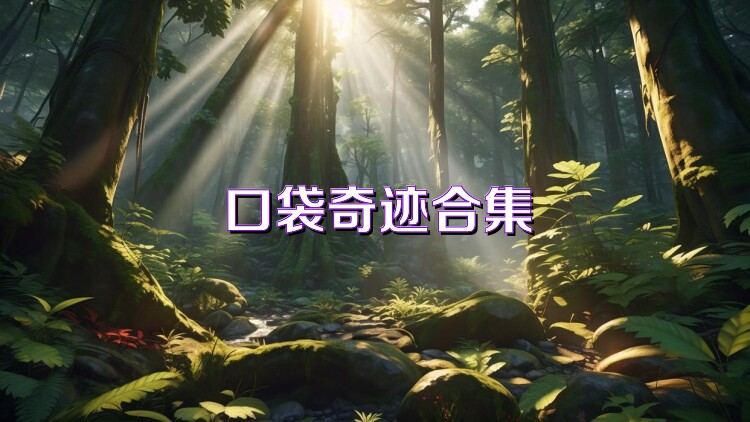 口袋奇迹合集