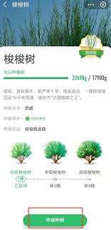 蚂蚁森林如何获取永久树木皮肤