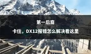 刺客信条影A卡DX12报错如何解决