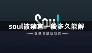 soul账号自动解封时间