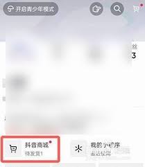 抖音商城如何退单一件商品