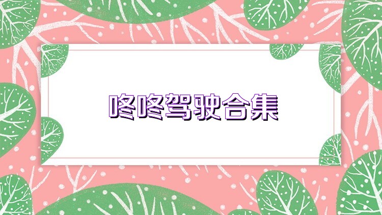 咚咚驾驶合集