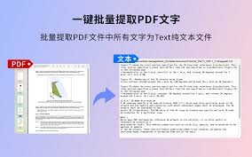 如何使用PDF文件图片一键批量提取工具极速导出图片