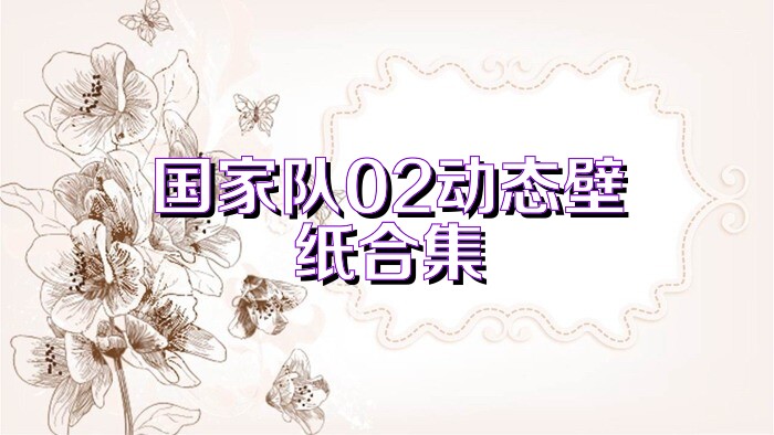 国家队02动态壁纸合集