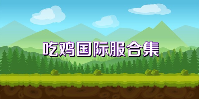 吃鸡国际服合集