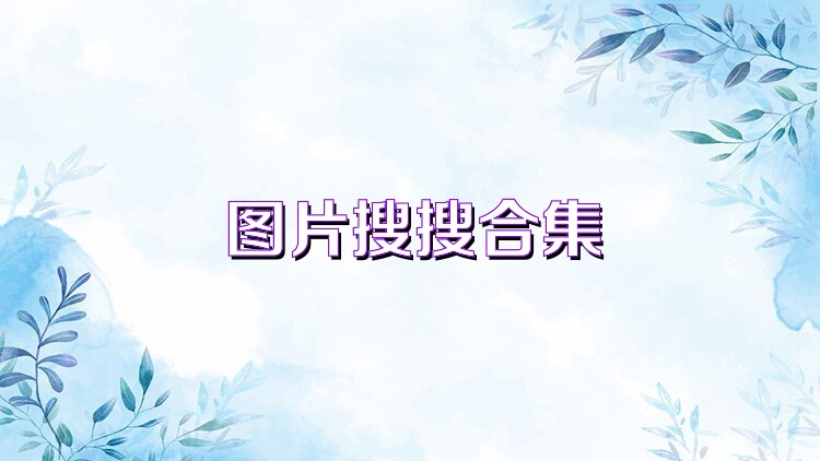 图片搜搜合集