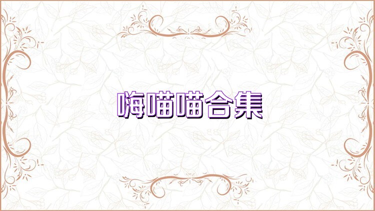 嗨喵喵合集