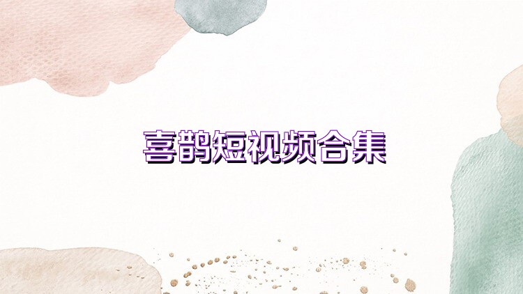 喜鹊短视频合集