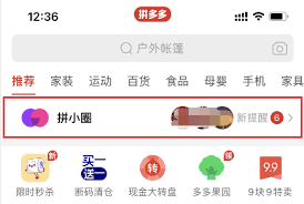 拼多多怎样开启拼小圈照片自动整理功能
