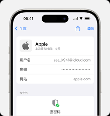 如何在iPhone上通过iOS 18查找密码