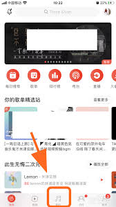 网易云音乐如何设置仅自己可见的歌单