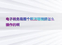 2025个税申报系统怎么使用