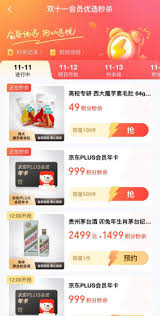 京东2025年双十一活动秒杀预告在哪看