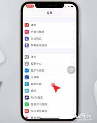 苹果手机如何设置透明度