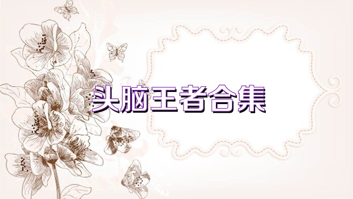 头脑王者合集