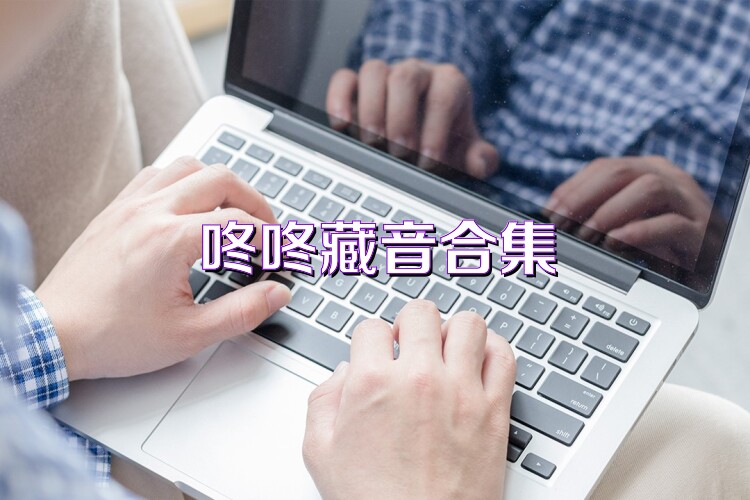 咚咚藏音合集