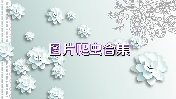 图片爬虫合集