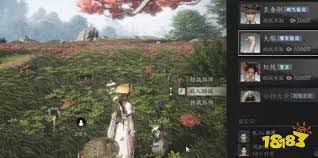 燕云十六声鹅蛋孵化后小鹅是否一直存在
