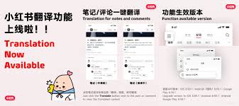 小红书全球用户访问量如何查看教程