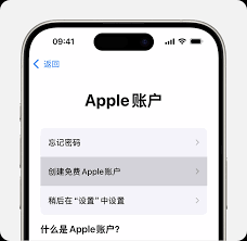 苹果手机id注册不了如何解决