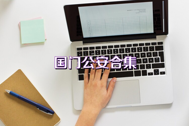 国门公安合集