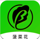 菠菜花手机版
