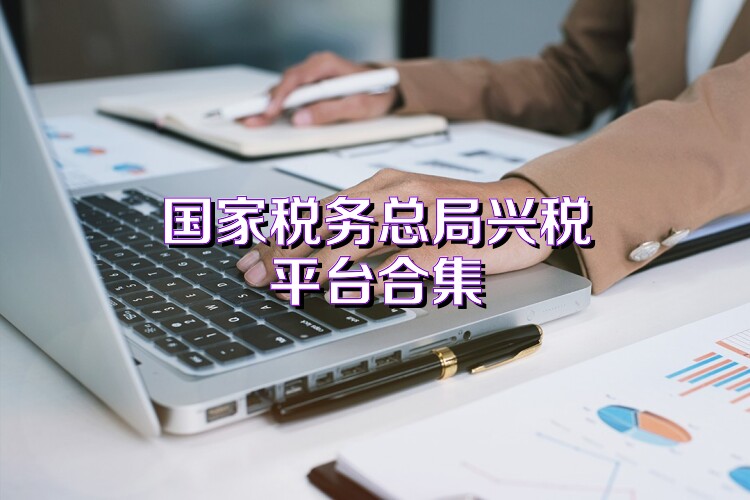 国家税务总局兴税平台合集