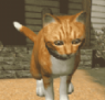 快乐猫猫传免费版