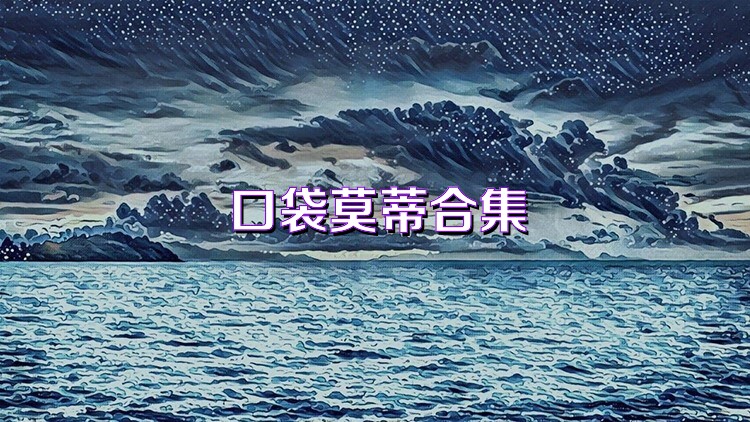 口袋莫蒂合集