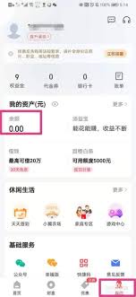 怎么查询辛扎尔付款记录