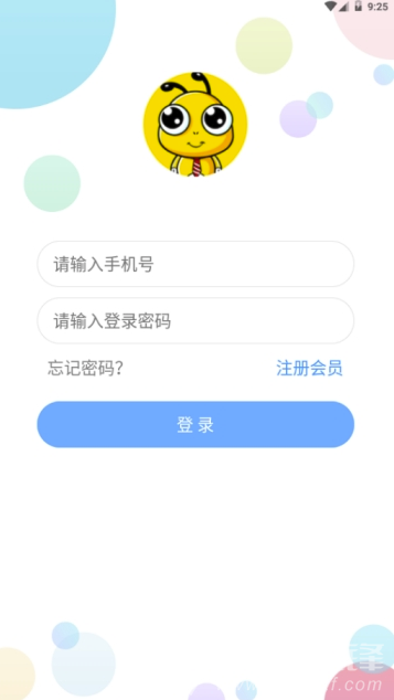 小蚂蚁