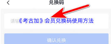 考古加兑换码输入位置在哪
